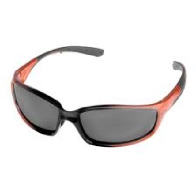 Where to rent STIHL SAFETY GLASSES Hellfire  Smoke in Cincinnati OH
