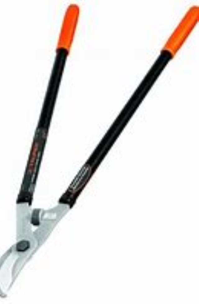 Where to rent BY-PASS LOPPER, 21  TUBULAR HANDLES WIT in Cincinnati OH
